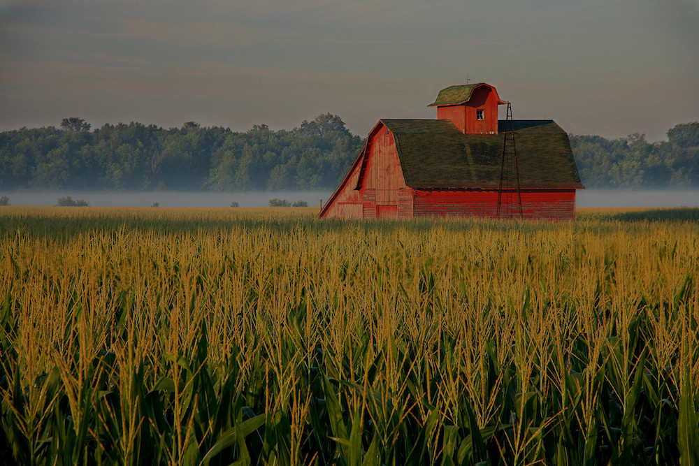 farm and crop insurance Pittsburg TX